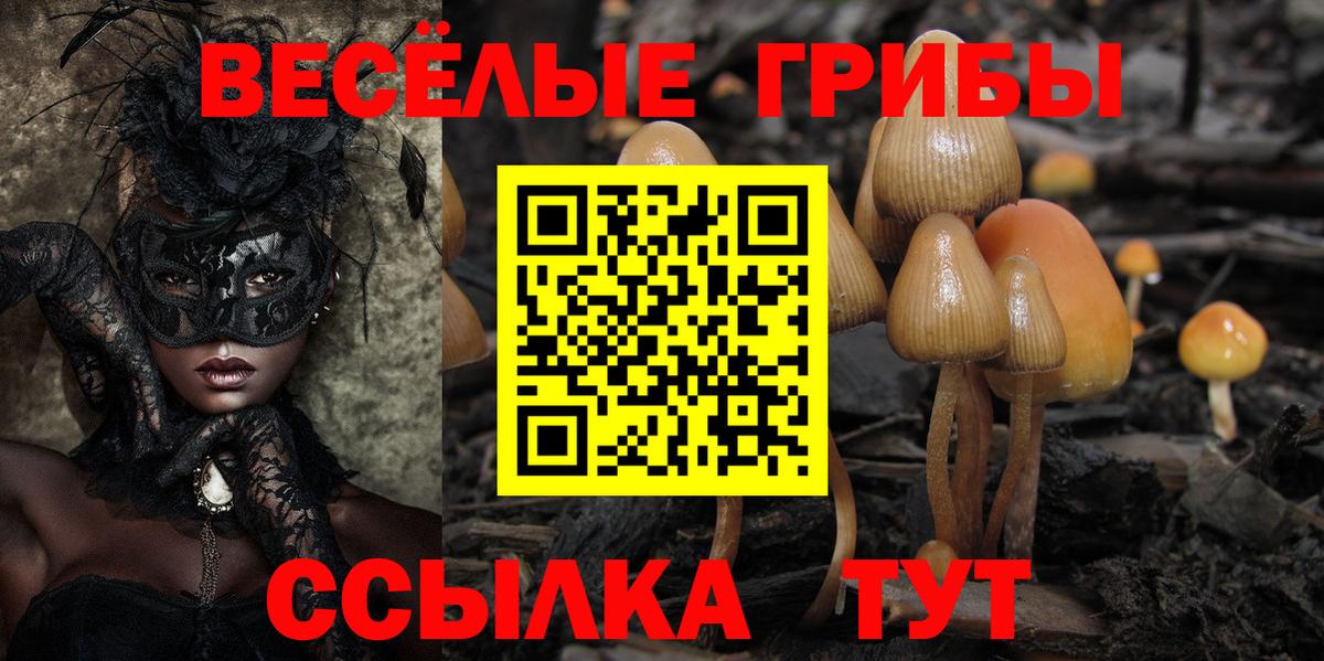 Галлюциногенные грибы Magic Shrooms Гусь-Хрустальный