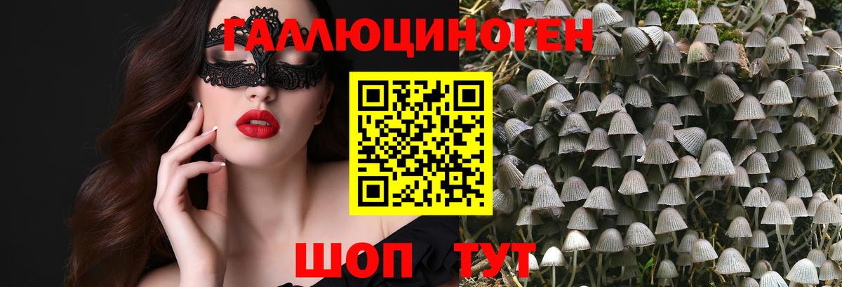 Псилоцибиновые грибы Psilocybine cubensis  Вход с VPN  Гусь-Хрустальный  Галлюциногенные грибы мухоморы 